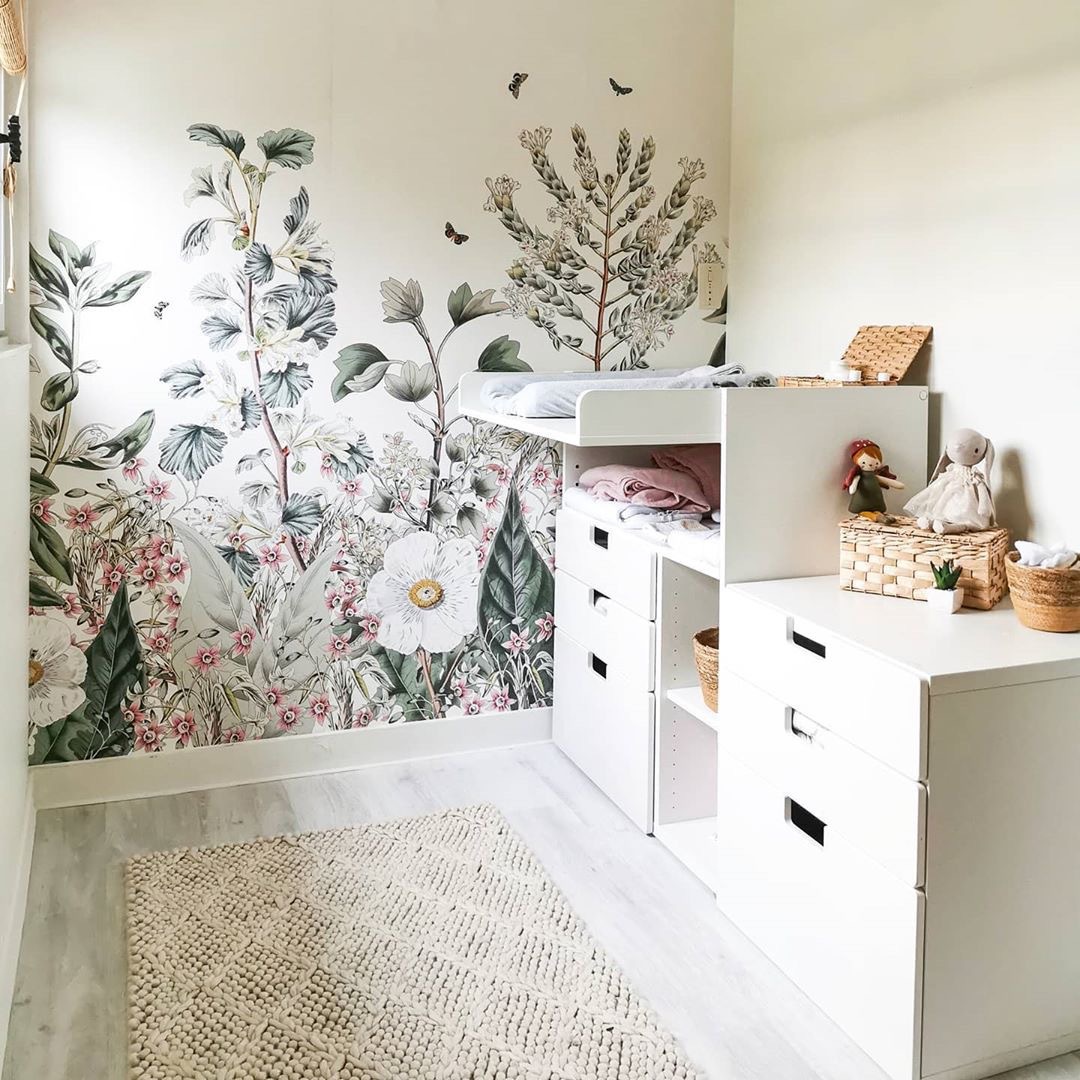 The world of jaia The world of jaia