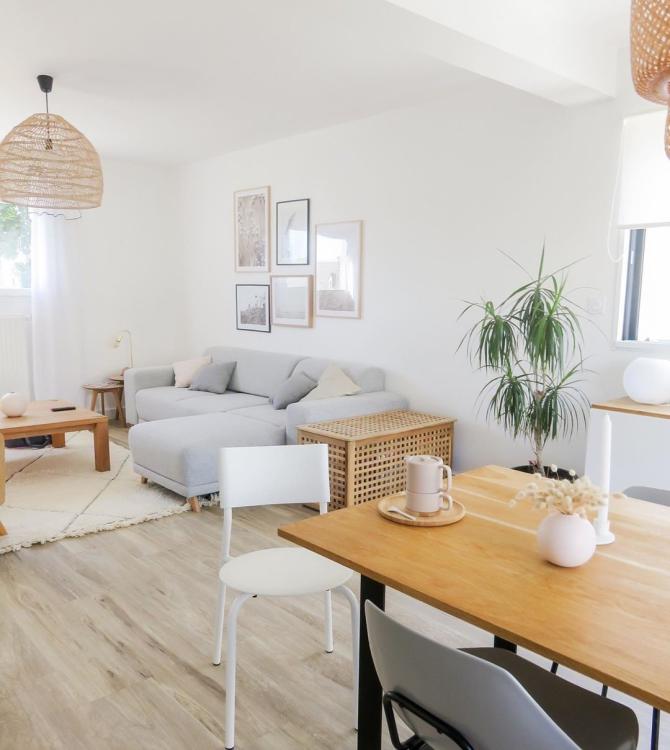 orchidee home orchidee home